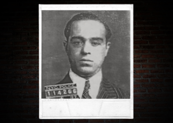 Jimmy Doyle Pllumeri