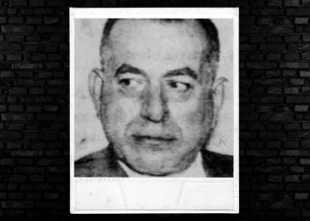 A photo of Tommy Masotto