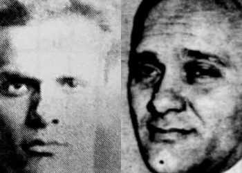 Dambrosio Brothers Featured