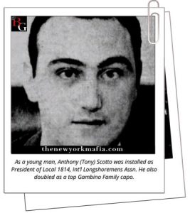 As a young man Anthony (Tony) Scotto was installed as President of Local 1814, Int’l Longshoremens Assn. He also doubled as a top Gambino Family capo.