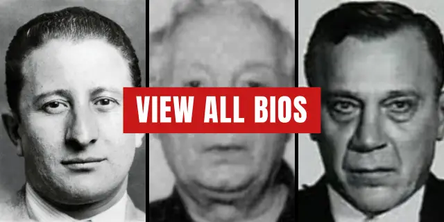 Click to view all Gambino Family bios.