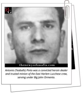 Antonio (Teaballs) Pinto was a convicted heroin dealer and trusted minion of the East Harlem Lucchese crew, serving under Big John Ormento.