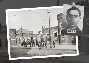 The Navy Street Gang Membership Chart