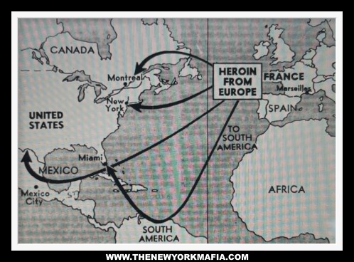 The French Connection