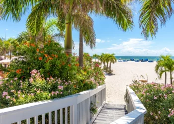 trafficante mob homes