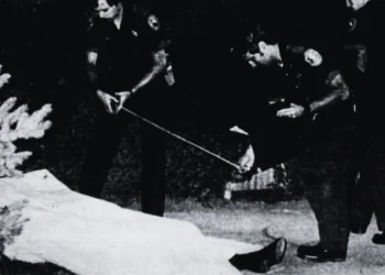 A newspaper photo of police officers investigating the murder of Andimo Pappadio.