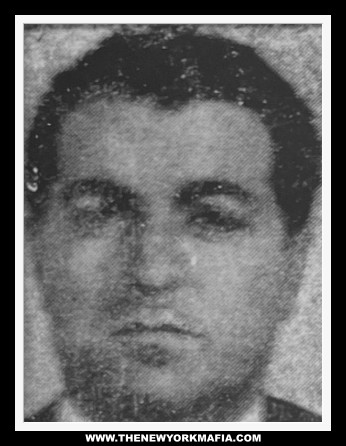 A mugshot of Canadian mobster Frank Cotroni set on a signature Button Guys background with the words: "www.thenewyorkmafia.com".