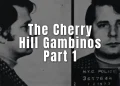 The Cherry Hill Gambinos featured image on Mob Fireside Chat - Button Guys
